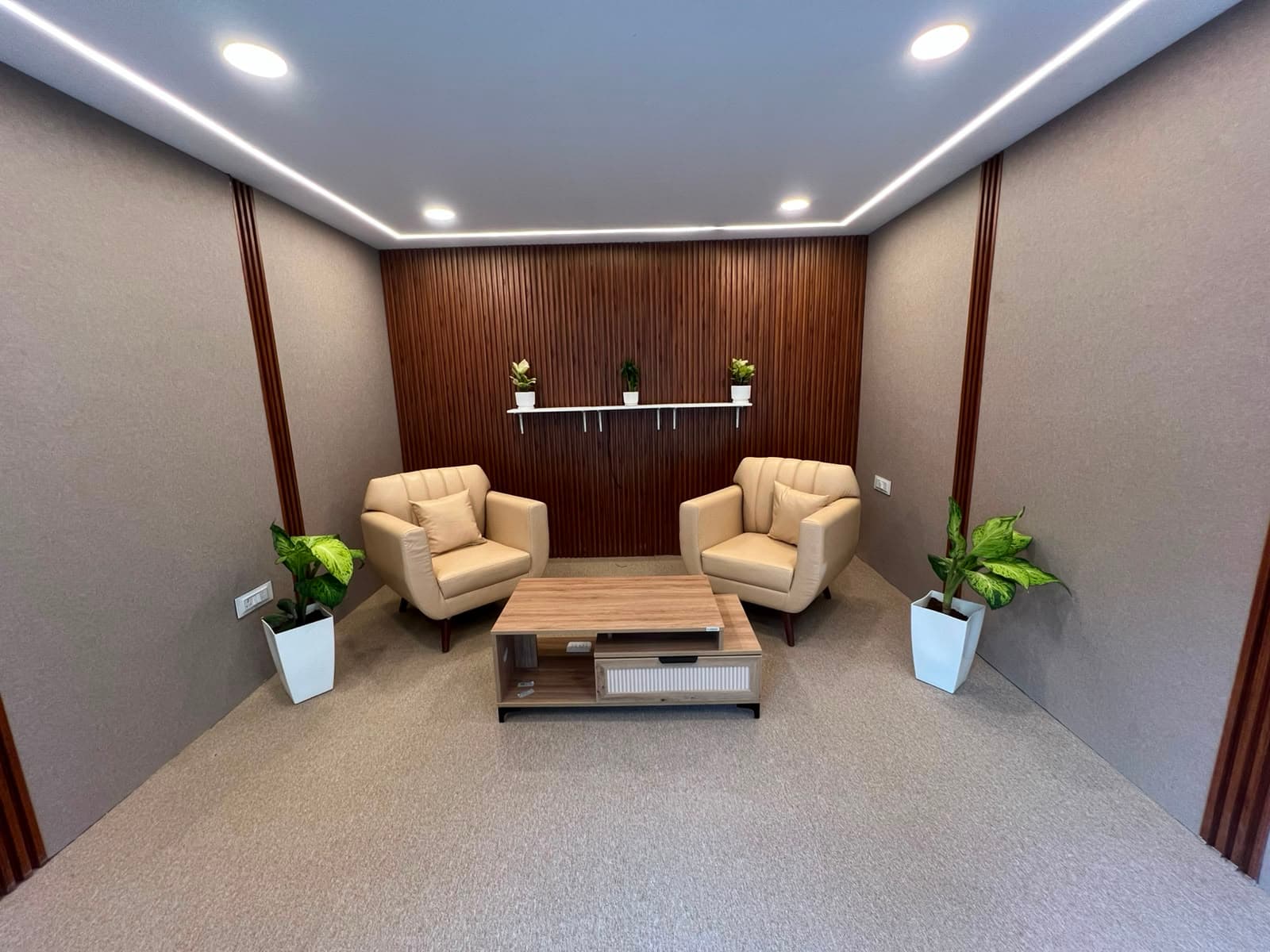 SK Studio Space interior in Madinaguda with two armchairs, acoustic wall treatment, plants and ceiling lights